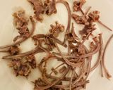 Foto del paso 6 de la receta: Sopipita de conejo para tu hurón mascota