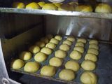 Nastar oven tangkring