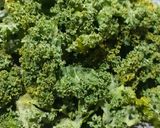 Foto langkah ke 1 dari resep Crispy Kale.