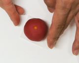 A picture of step 4 of Nerikiri Wagashi: "Kiku" (Chrysanthemum) 2.