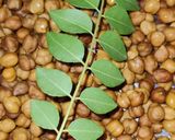 चना मसाला (chana masala recipe in Hindi) रेसिपी चरण 2 फोटो