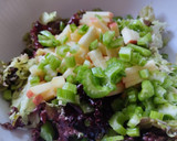 Foto del paso 1 de la receta: Ensalada🥗 de manzana🍏, uvas🍇, durazno🍑 y lechuga crespa morada🥙🥬