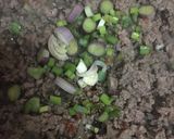 Foto del paso 1 de la receta: Pastel de papa (básico)