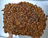 A picture of step 6 of Roasted Sunflower Seeds and Jaggery Brittles.