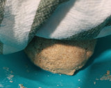 Foto del paso 5 de la receta: Pan de masa madre al horno sin molde (BLW)