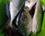 Foto langkah ke 1 dari resep Ikan Kembung Pindang Kuning.