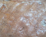 Foto del paso 5 de la receta: Torta de Pollo c/verduras