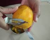Mango Cassata(Stuffed Icecream) recipe step 4 photo