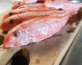 A picture of step 1 of Red Mullet with Potatoes, Belgian Endive, and Celery.