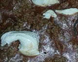 Foto del paso 3 de la receta: Super Lasaña