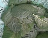 Foto langkah ke 1 dari resep Gorengan Bayam.