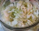Sauerkraut Batch 2 recipe step 3 photo