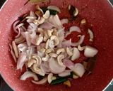 A picture of step 2 of Shahi Paneer.