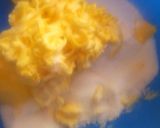 A picture of step 2 of Cincin.