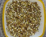 ફણગાવેલા મગ (Fangavela Moong Recipe In Gujarati) રેસીપી સ્ટેપ1ફોટો