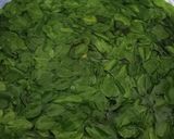 Foto langkah ke 4 dari resep Mamaci Sayur Bening Kelor.