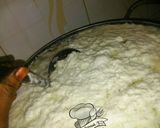 A picture of step 6 of My special awara recipe.