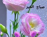 صورة لخطوة 13 من وصفة صدر دجاج مع الفطر والبروكلي