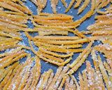 Foto del paso 4 de la receta: Naranjitas azucaradas