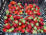 Confettura di fragole