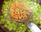 Methi Mirchi Aachar recipe step 4 photo