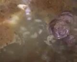Foto del paso 1 de la receta: Pantrucas ave-vacuno ✔️