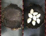 A picture of step 3 of Murmura Bird's Nest.