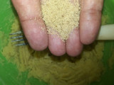 Puré de apio y batata