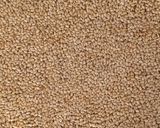 તલની ચીકી (Til Chiki Recipe In Gujarati) રેસીપી સ્ટેપ3ફોટો