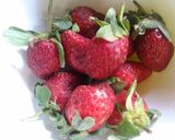 Foto langkah ke 1 dari resep Jus Strawberry.