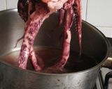 Foto del paso 1 de la receta: Pulpo 🦑 a la brasa de leña