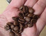 Foto del paso 1 de la receta: Qahwa ☕ Café arábigo con especias: cardamomo, azafrán y clavo de olor ☕