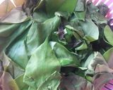 Foto langkah ke 1 dari resep Sayur Lodeh Campur Gembus.
