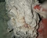 Foto langkah ke 3 dari resep Ayam cfc home made.
