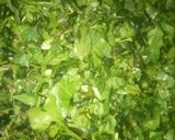 बथुऐ का साग(Bathue ka saag recipe in Hindi) रेसिपी चरण 1 फोटो