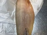 Smoked haddock and leek pie