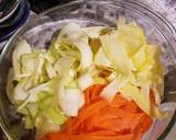Vegetable Ribbon Noodles recipe step 1 photo