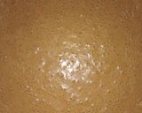 Foto del paso 7 de la receta: Pastel imposible