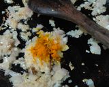 A picture of step 3 of Chicken veg mix pattie.