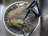 กุ้งทอดเกลือ