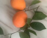 Une image de l'étape 2 de بسيسة bssissa petit-déjeuner healthy #farine de légumineuses.