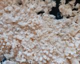 Foto del paso 2 de la receta: Hamburguesas Vegetarianas