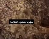 صورة لخطوة 2 من وصفة دولمة بطريقتي