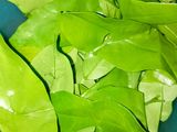 Tumis Sayur Pepaya Muda