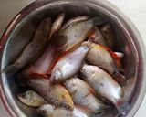 Foto langkah ke 1 dari resep Ikan Sepat Krispi.