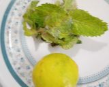 तरबूज का जूस (tarbuj ka juice recipe in Hindi) रेसिपी चरण 3 फोटो