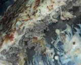 Foto del paso 5 de la receta: Canelones de carne, simples y fáciles