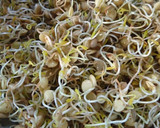 Foto del paso 4 de la receta: Brotes de lentejas 🌱 💚