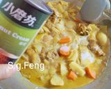 馬鈴薯咖哩雞的食譜步驟10照片