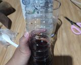 Foto langkah ke 2 dari resep 472 - Regal Latte Ice (7-CPApron2026).